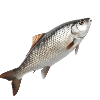Banco pesce con prodotti selezionati