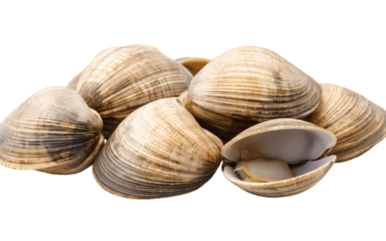 Molluschi selezionati